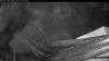 Web Cam Image - Sun, 04/27/2025 1:29am PDT