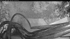 Web Cam Image - Sat, 09/13/2025 5:04am PDT