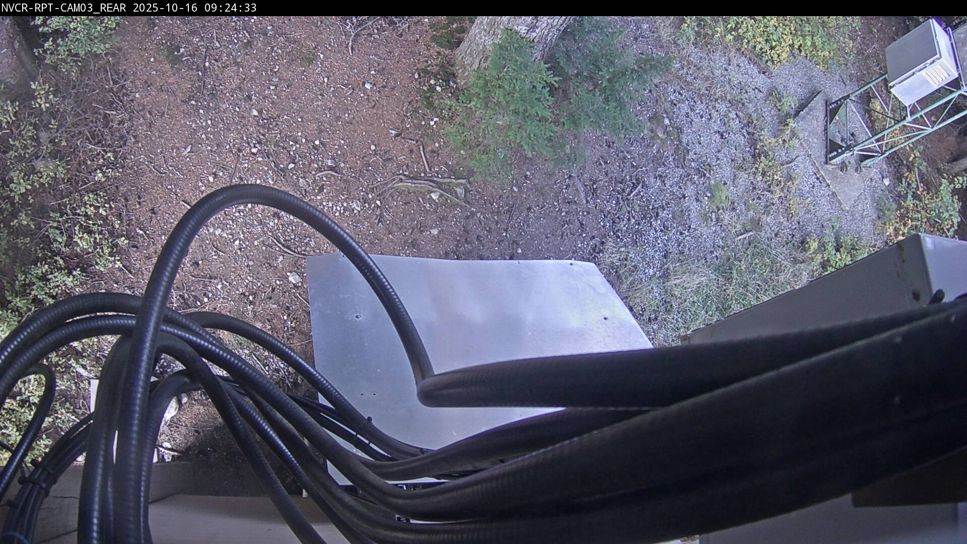 Web Cam History Image - 725