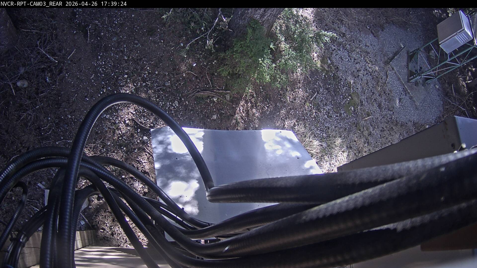 Web Cam History Image - 729