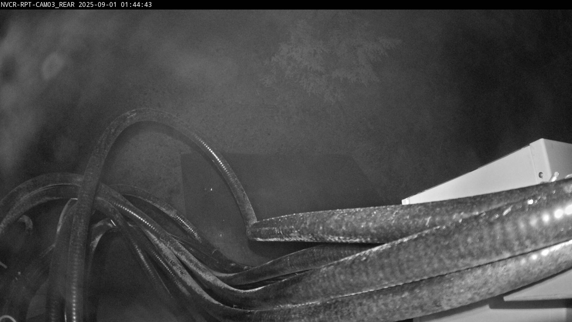 Web Cam History Image - 731