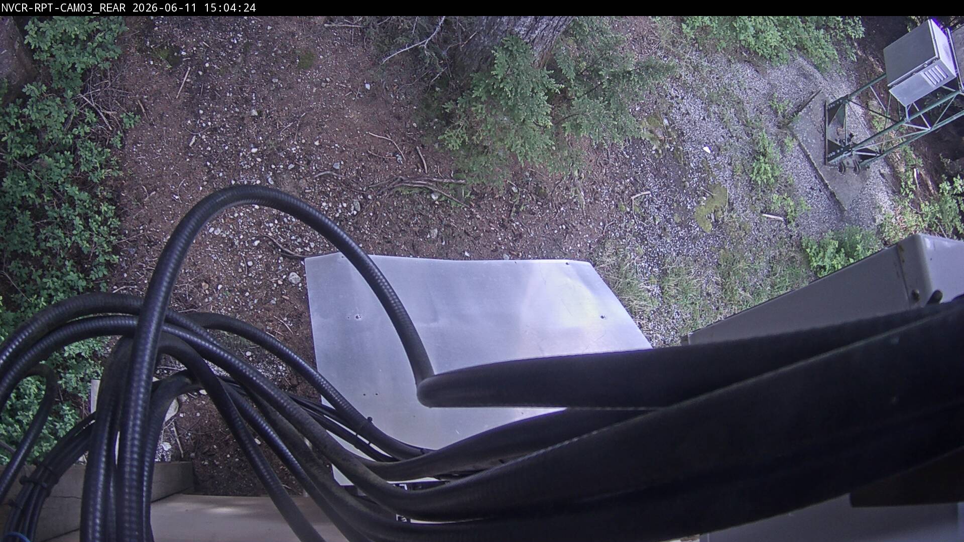 Web Cam History Image - 731