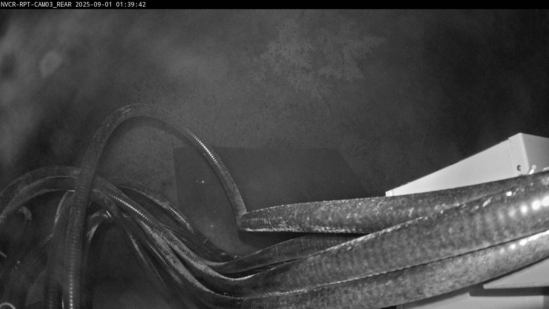 Web Cam History Image - 732