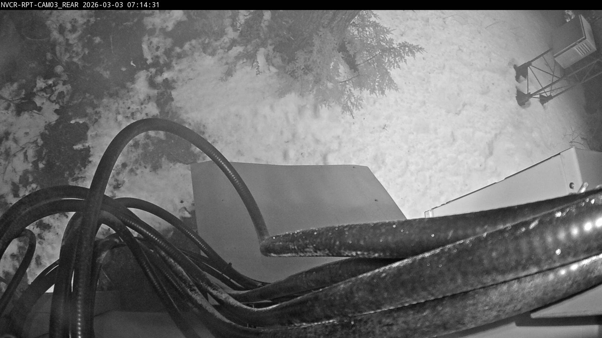 Web Cam History Image - 732