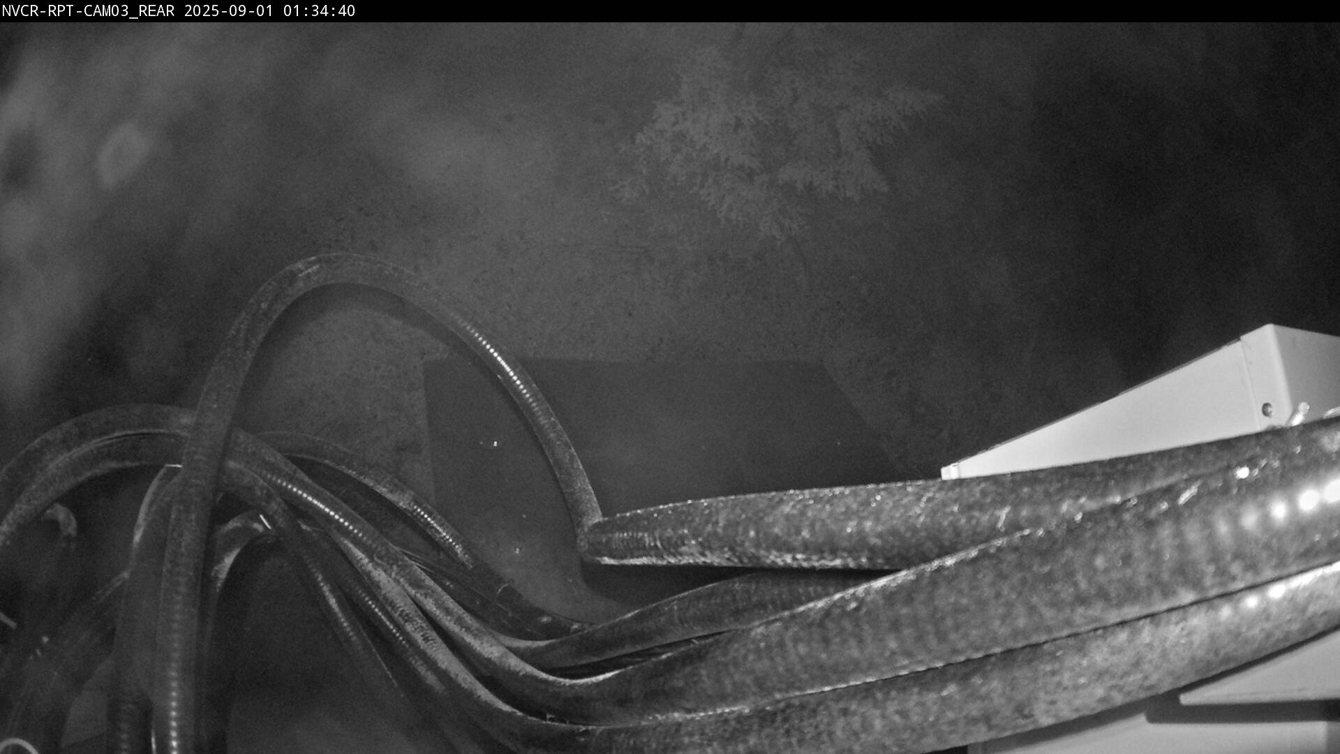 Web Cam History Image - 733