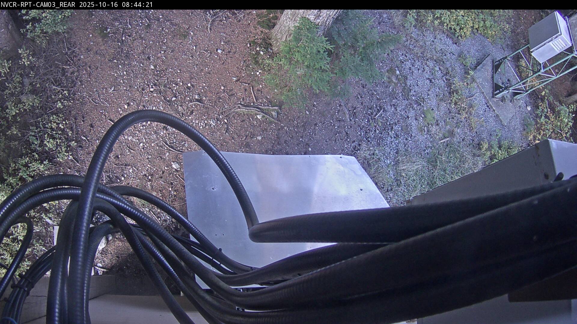 Web Cam History Image - 733