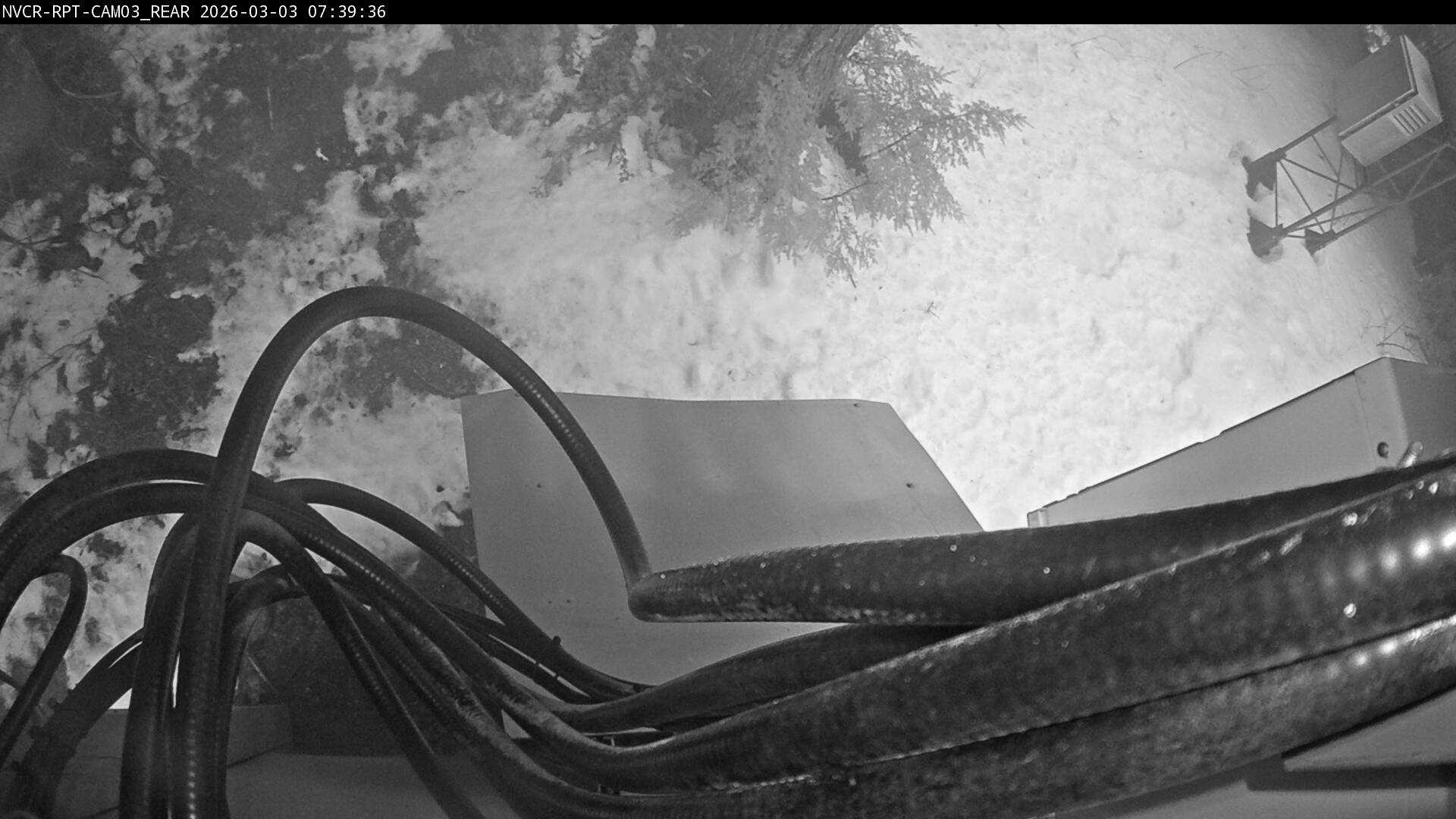 Web Cam History Image - 733