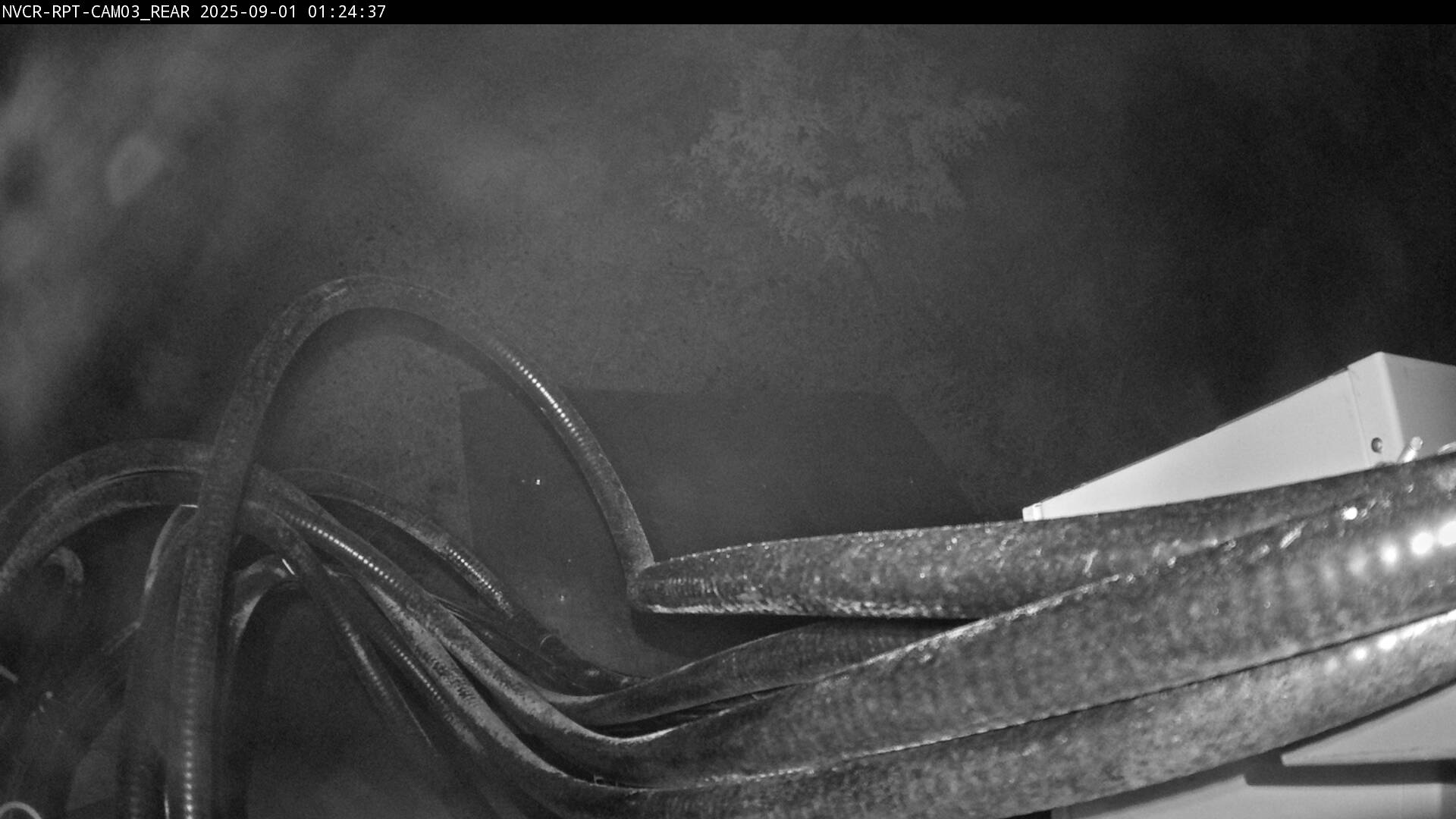 Web Cam History Image - 735