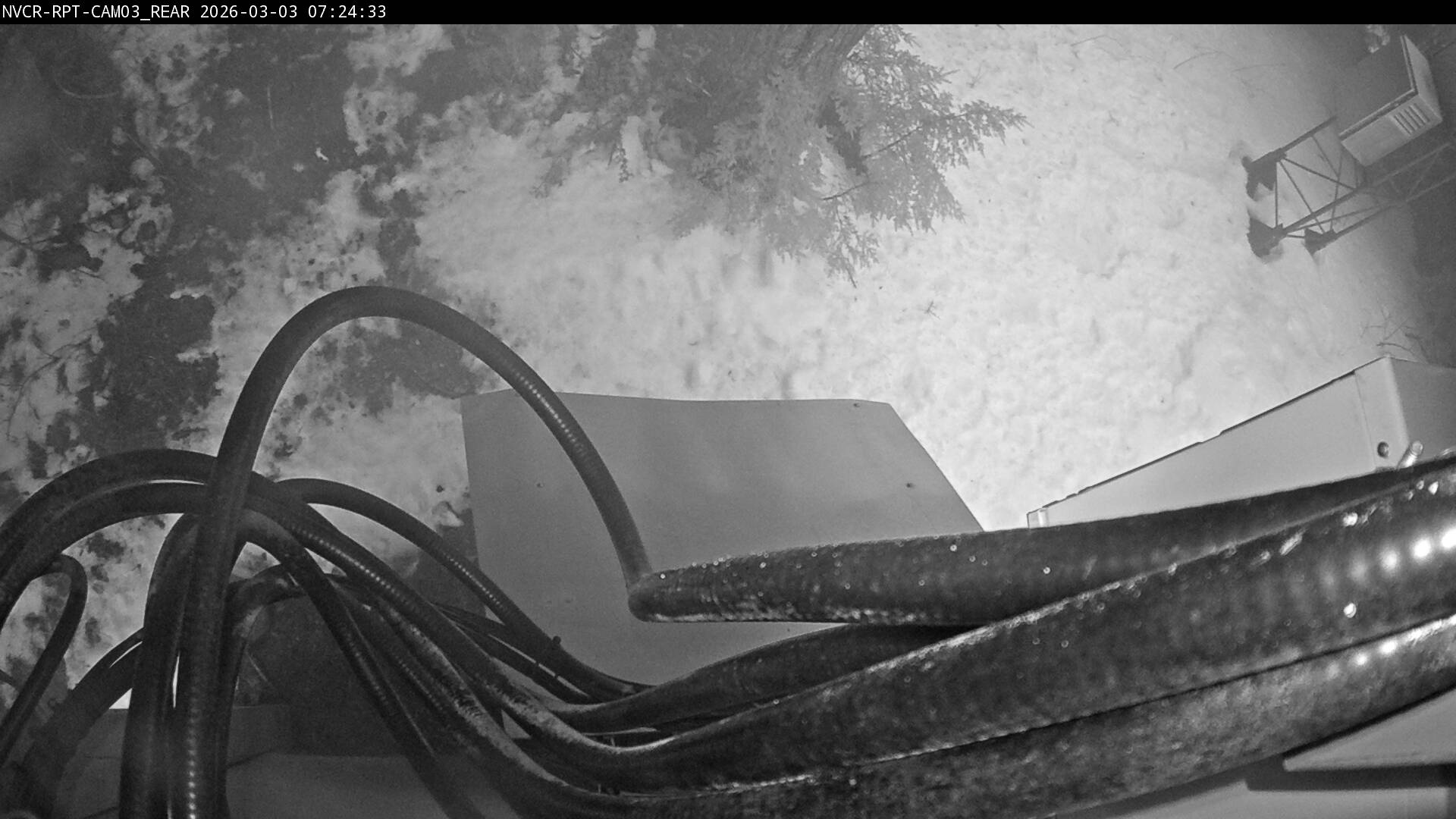 Web Cam History Image - 735