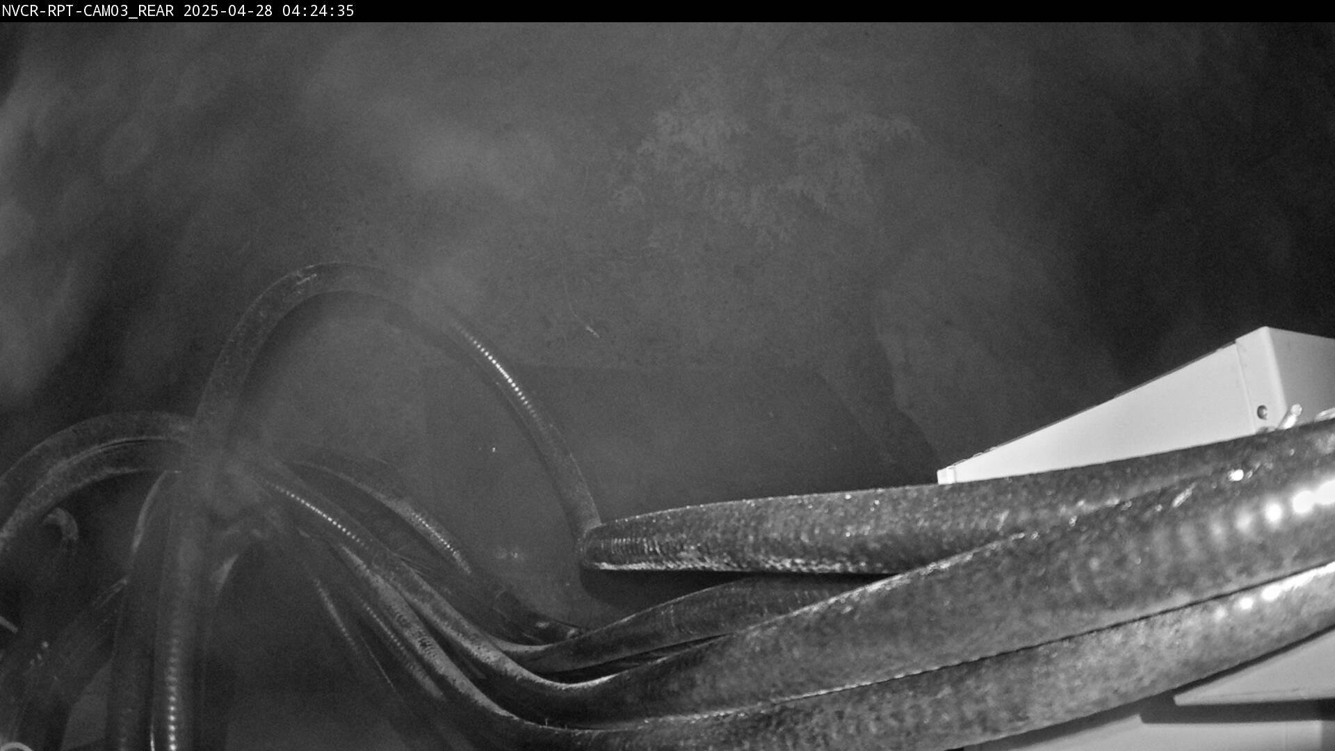 Web Cam History Image - 736