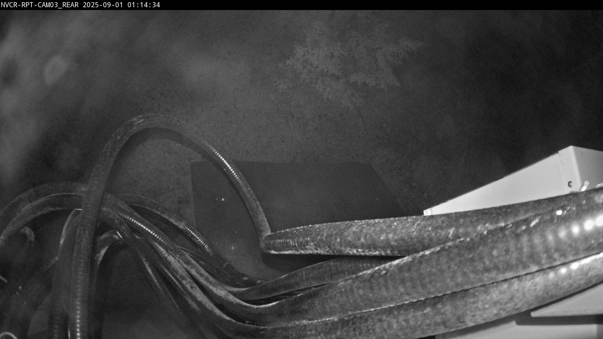 Web Cam History Image - 737