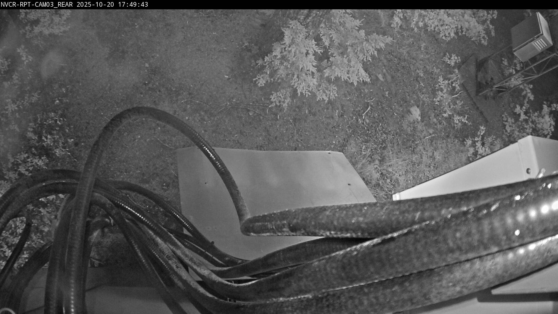 Web Cam History Image - 75