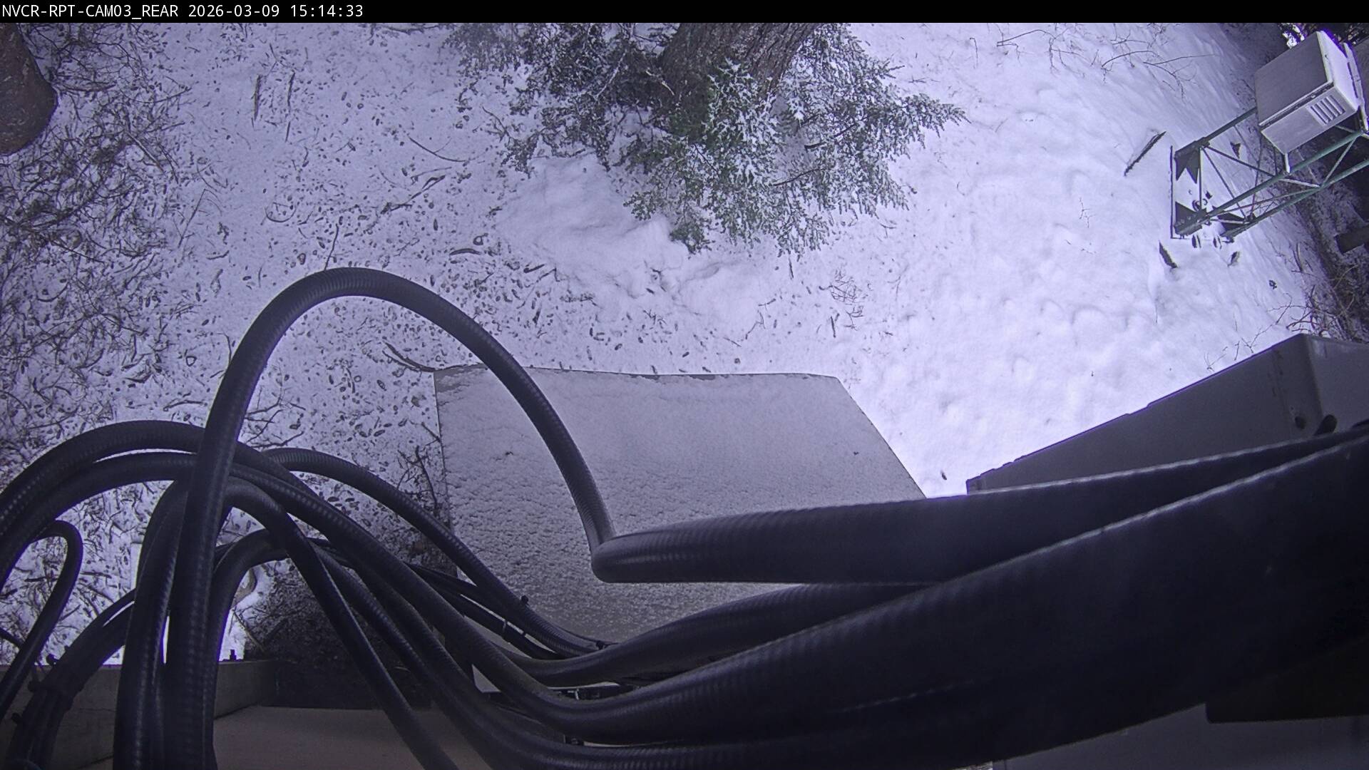 Web Cam History Image - 75