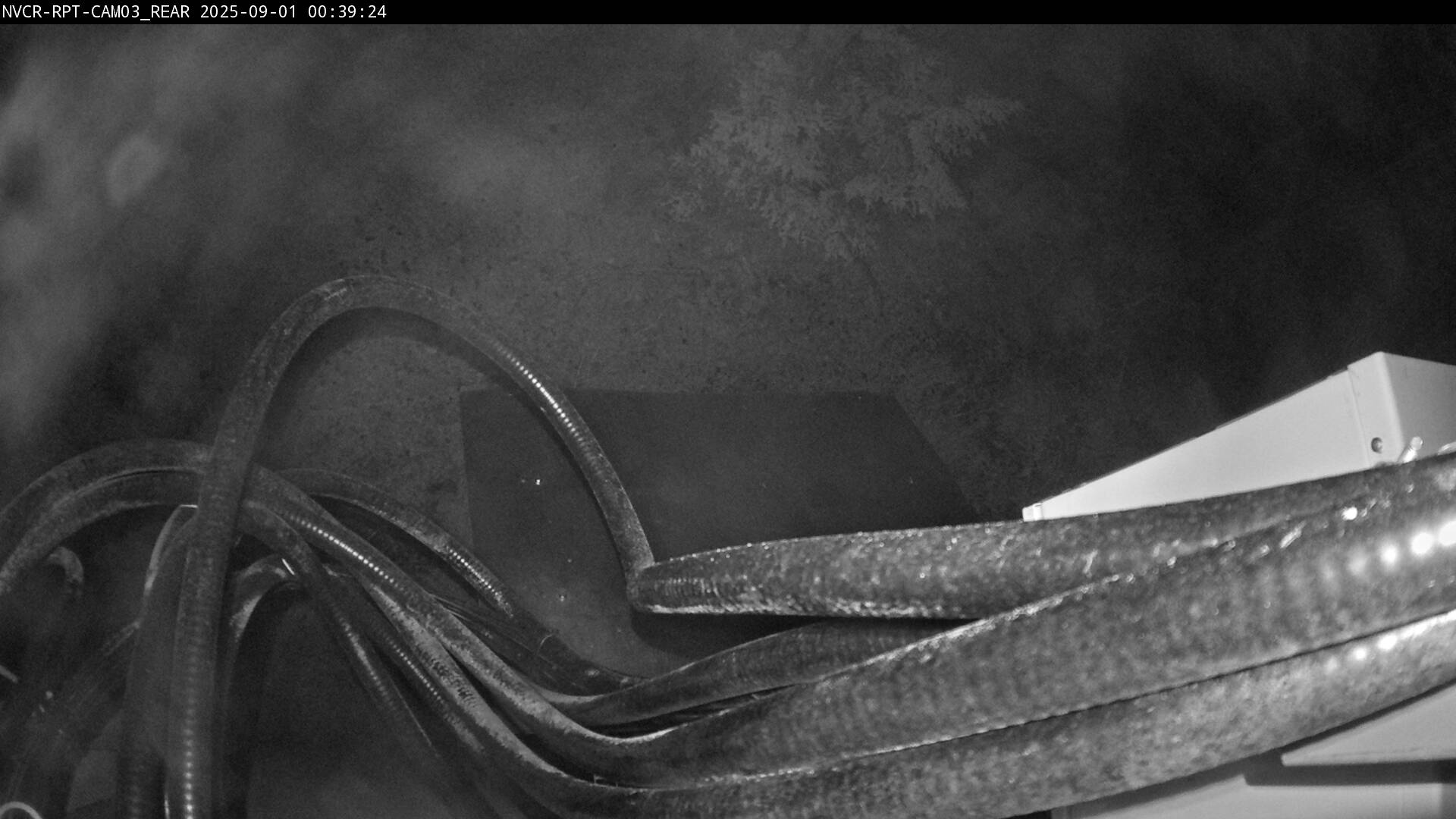 Web Cam History Image - 744