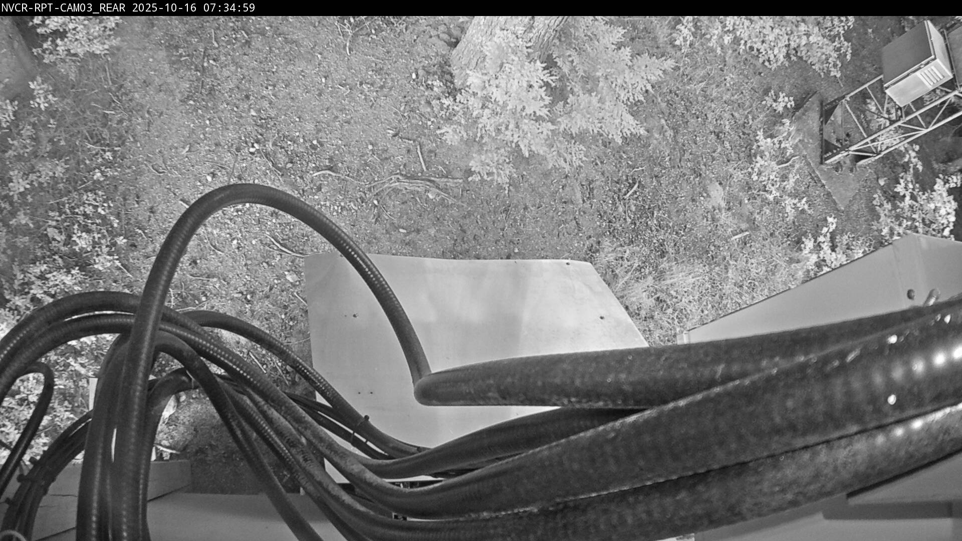 Web Cam History Image - 747