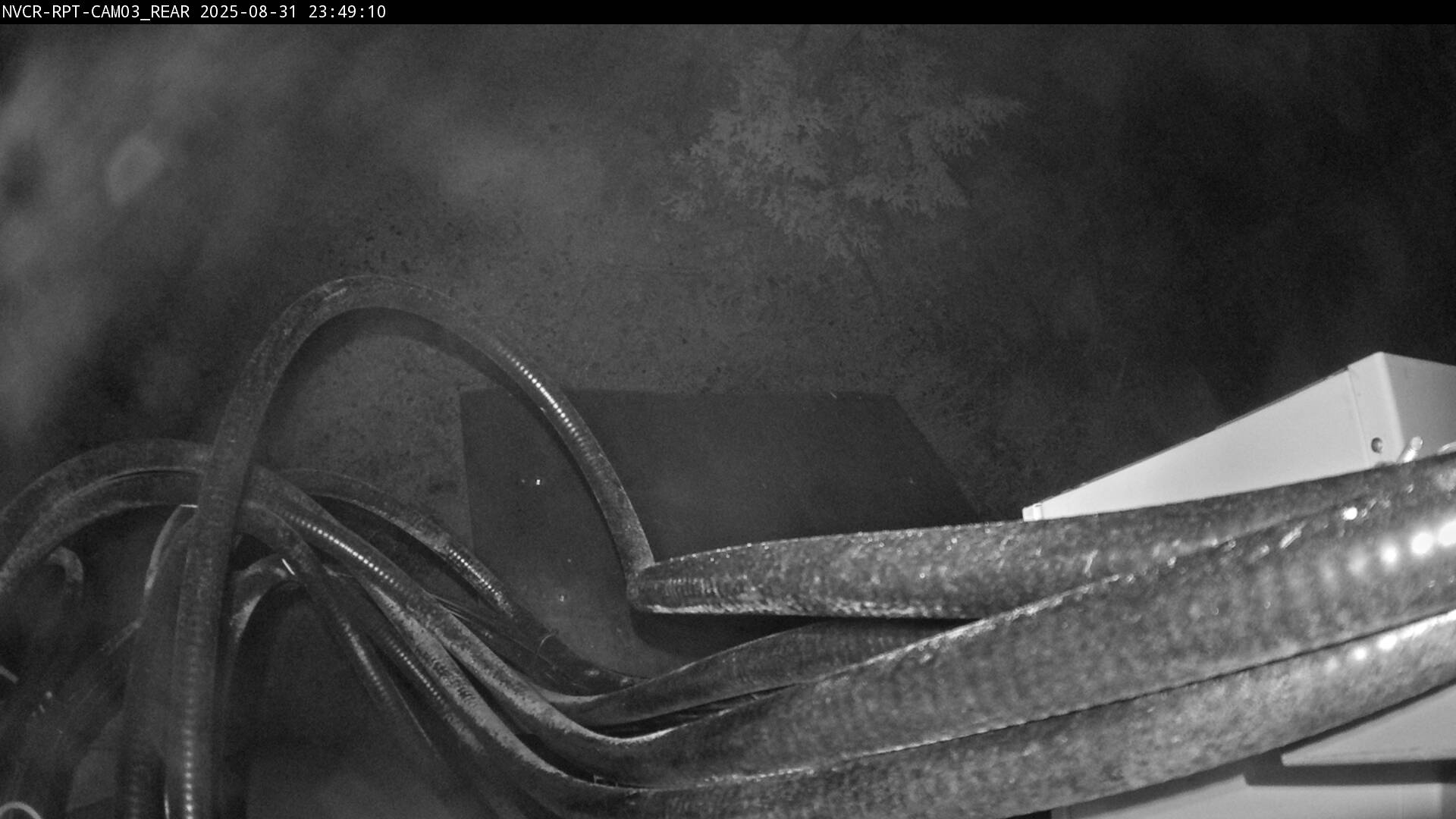 Web Cam History Image - 753