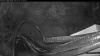 Web Cam Image - Mon, 05/25/2026 8:14pm PDT