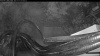 Web Cam Image - Thu, 10/15/2026 6:19am PDT