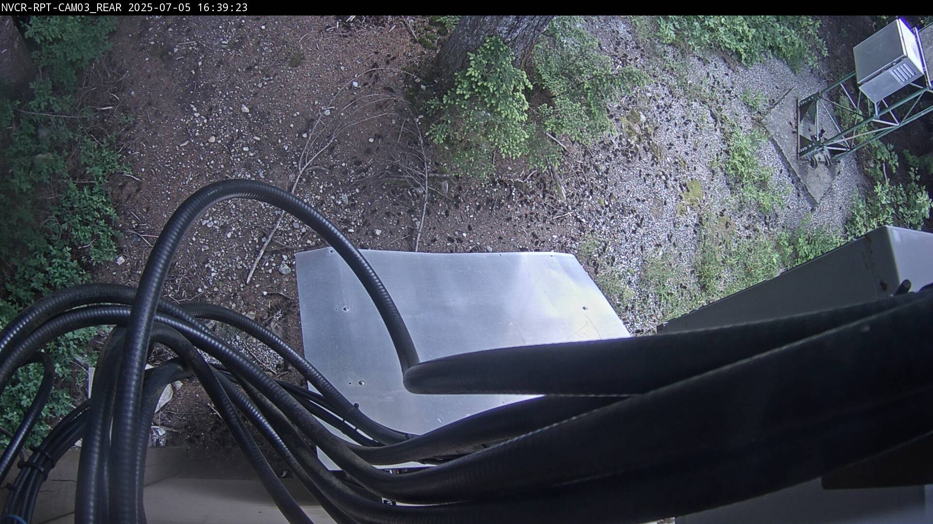 Web Cam History Image - 77