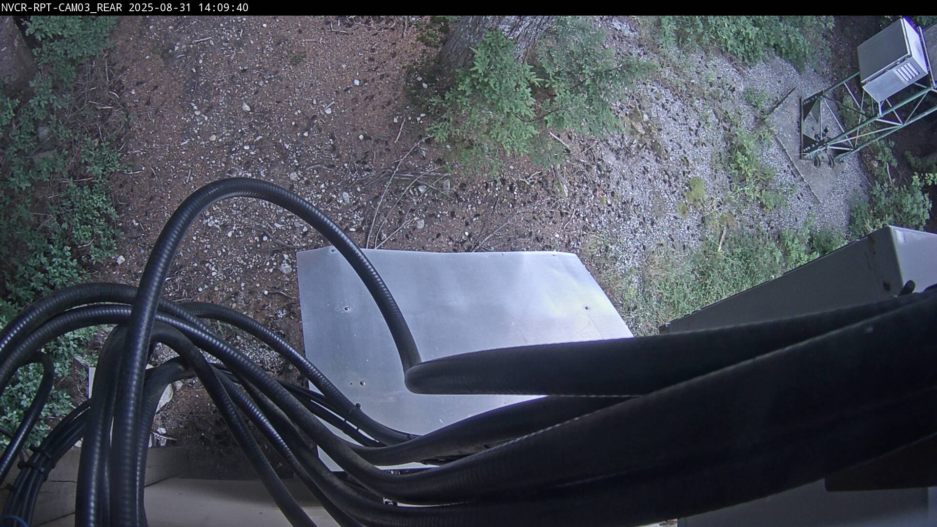 Web Cam History Image - 77