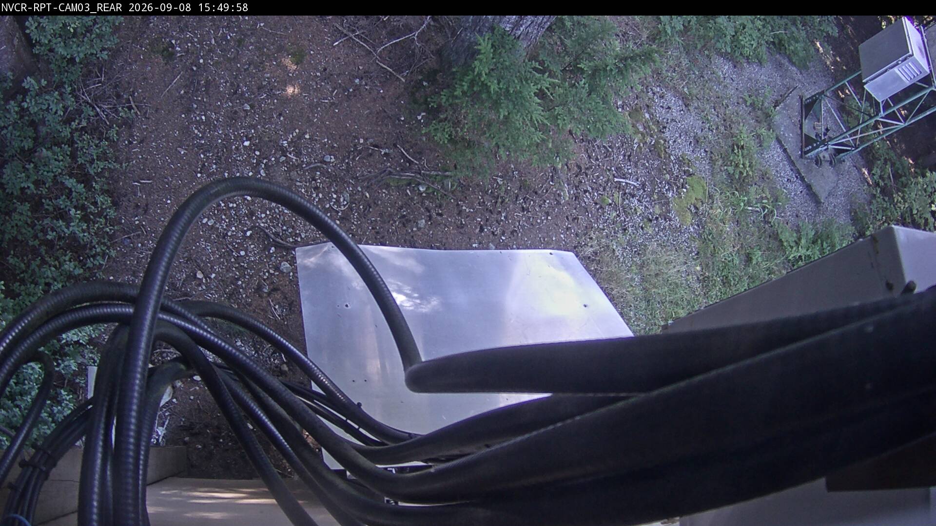 Web Cam History Image - 77