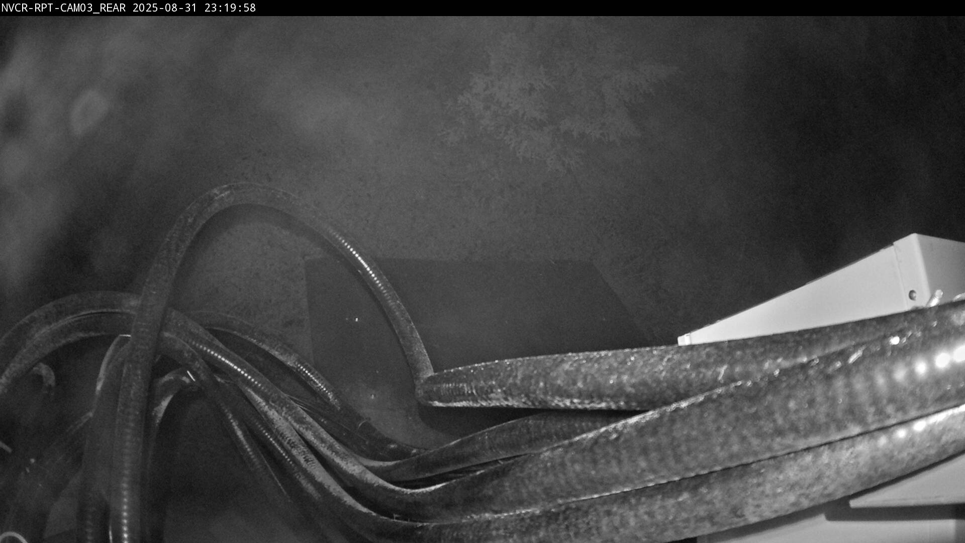 Web Cam History Image - 761