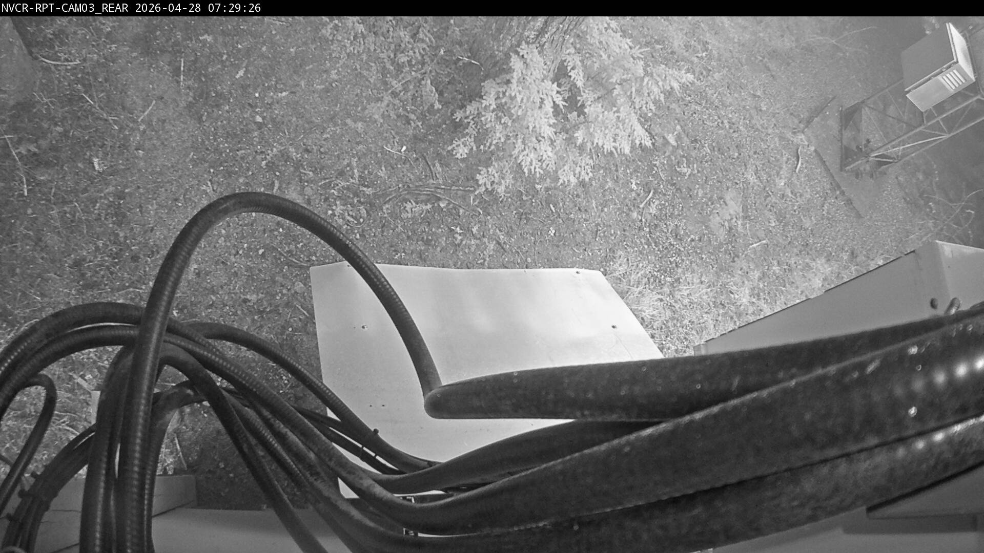 Web Cam History Image - 765
