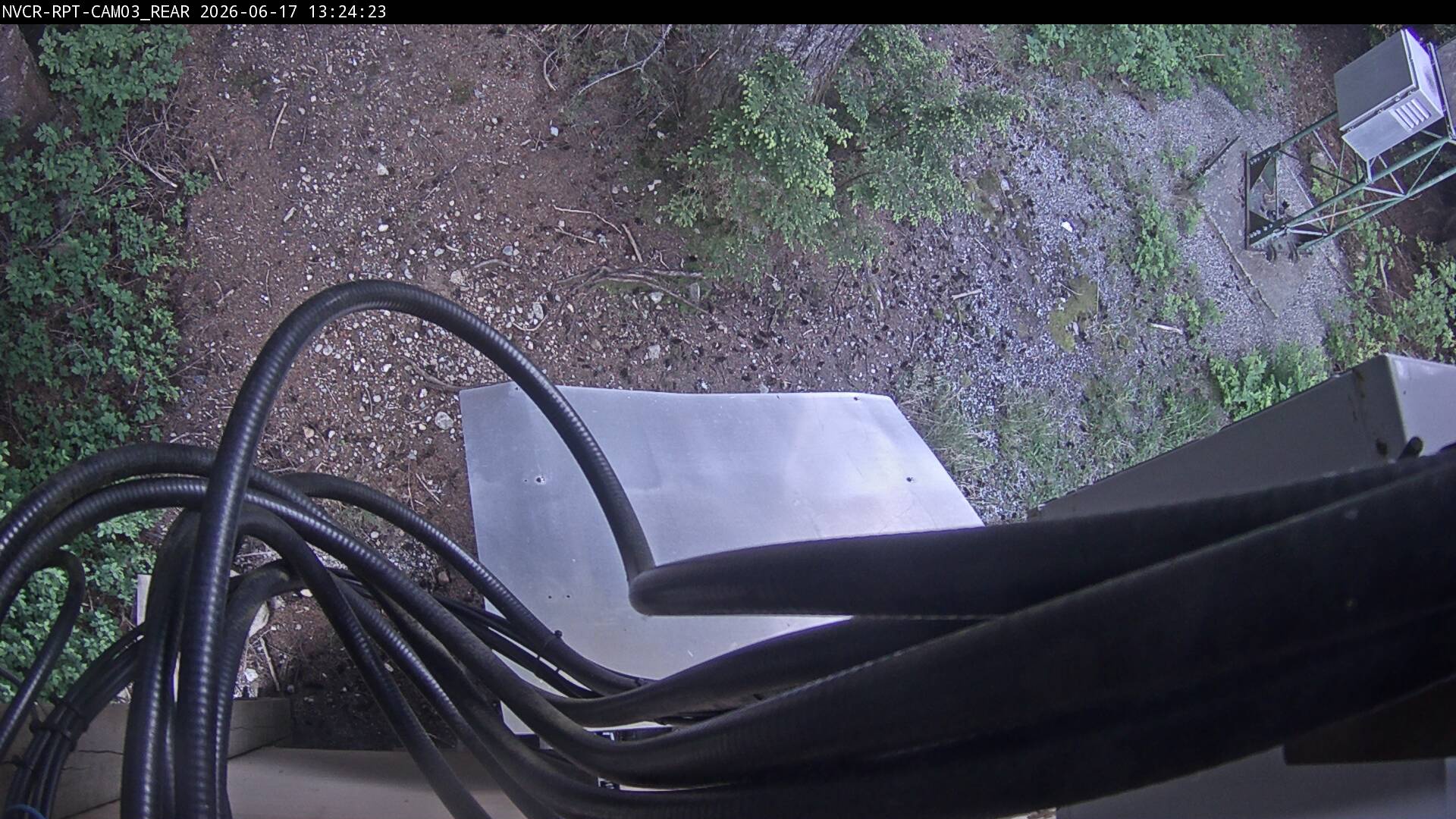 Web Cam History Image - 766