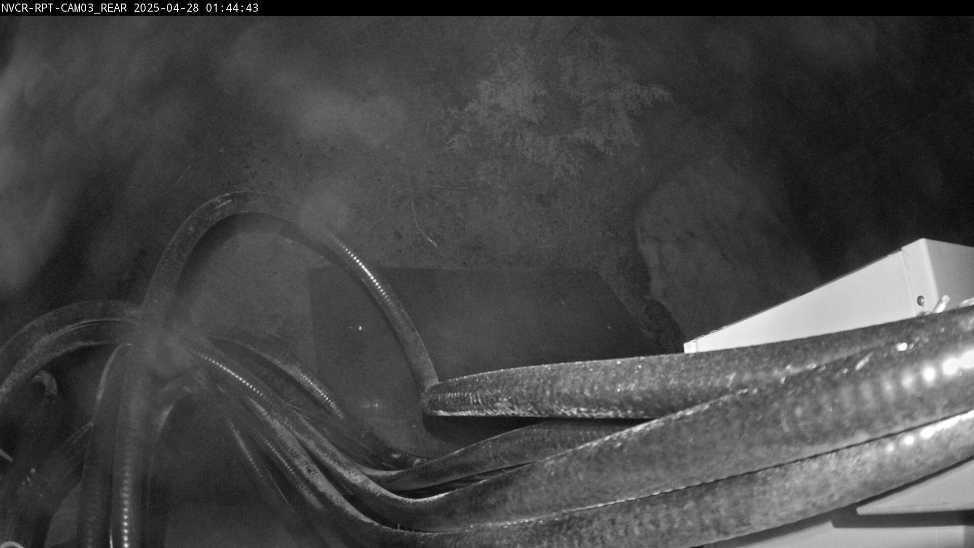 Web Cam History Image - 767