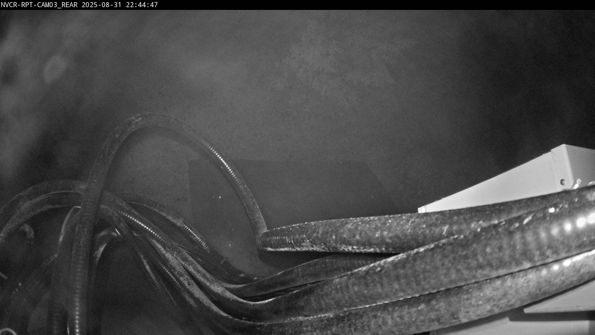 Web Cam History Image - 767
