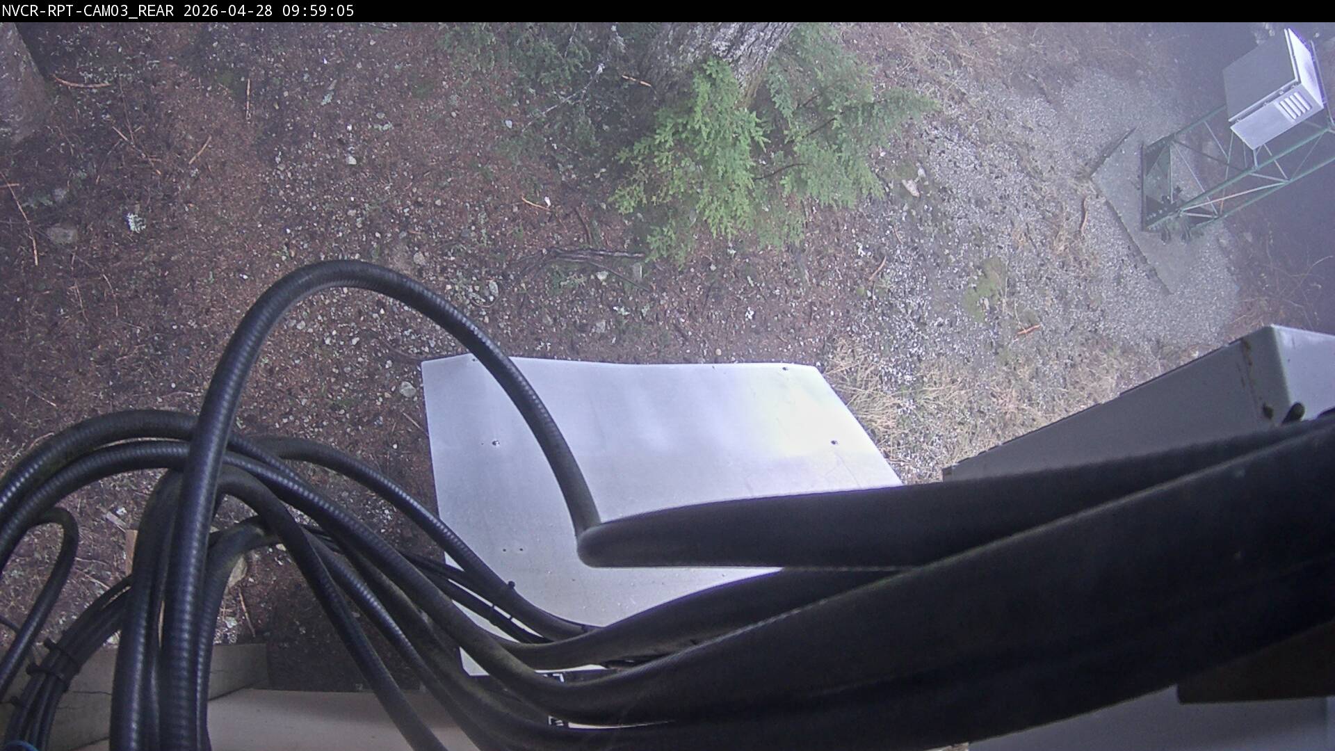 Web Cam History Image - 767