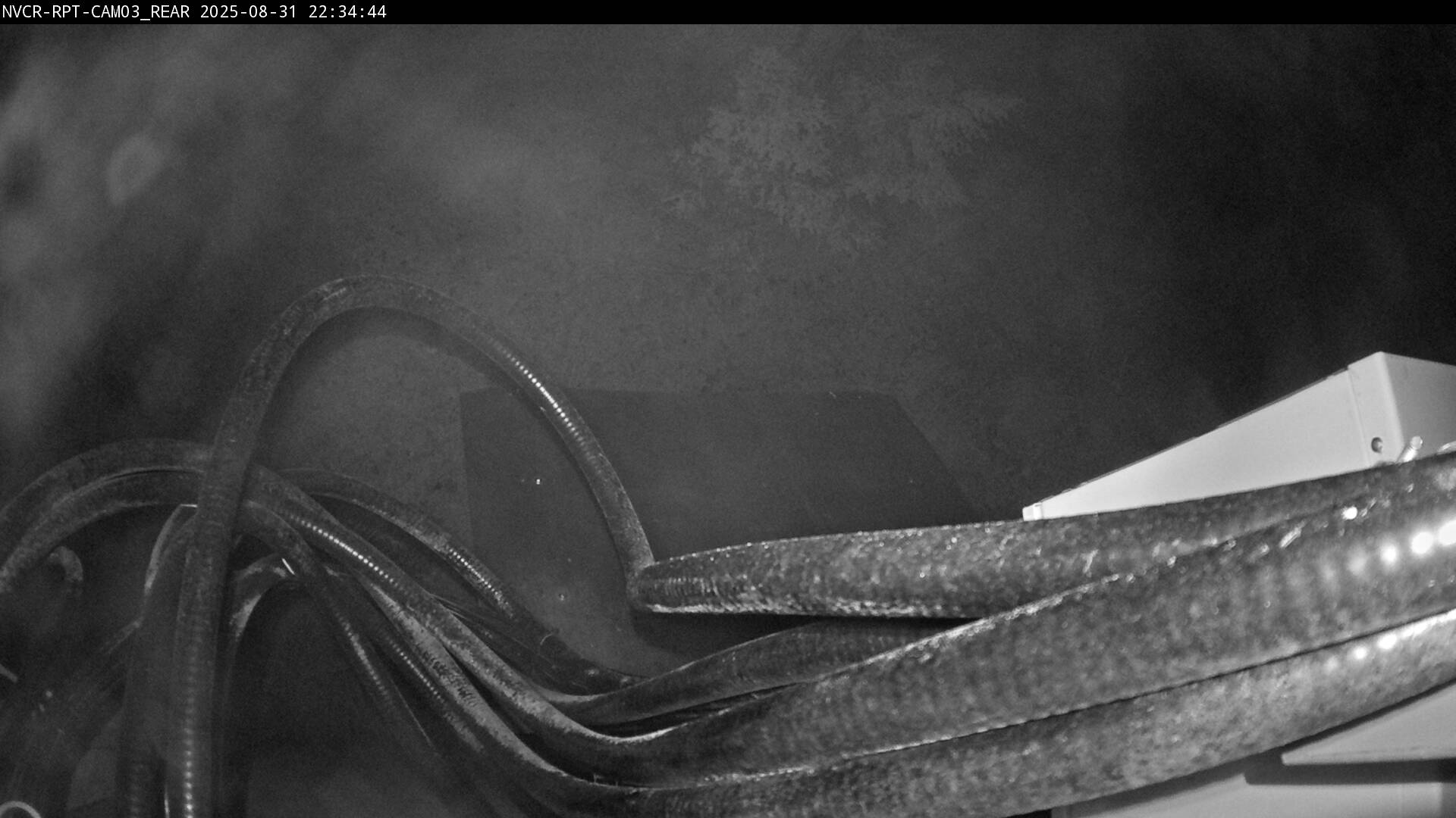 Web Cam History Image - 769