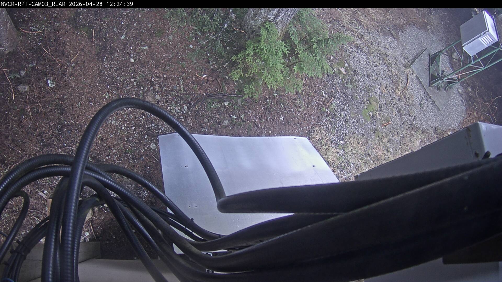 Web Cam History Image - 769