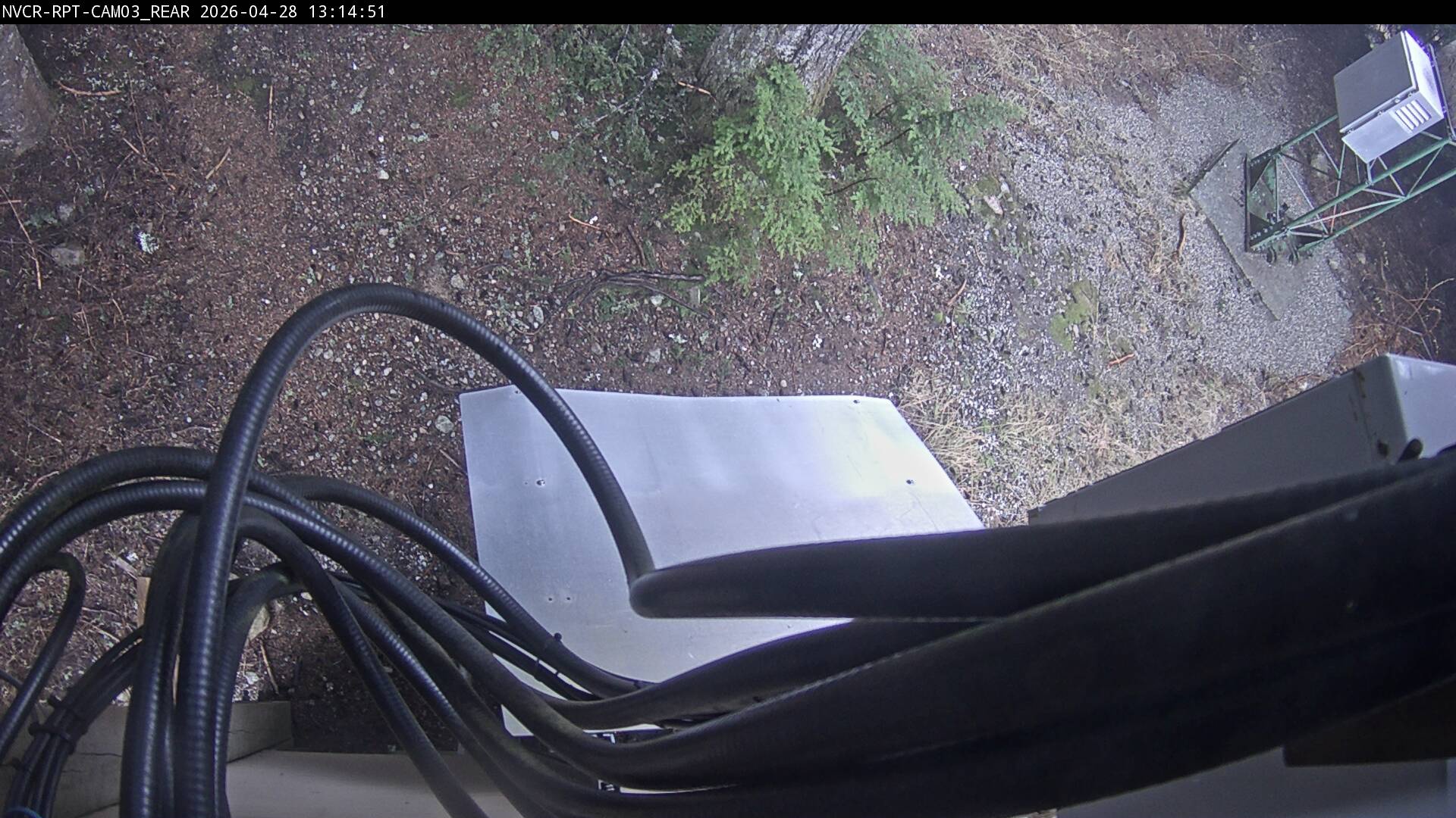 Web Cam History Image - 770