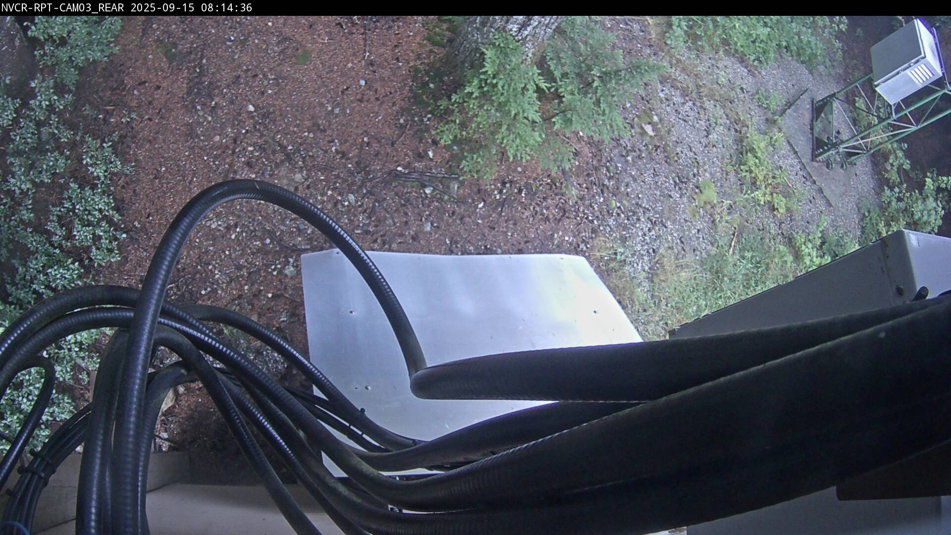Web Cam History Image - 78