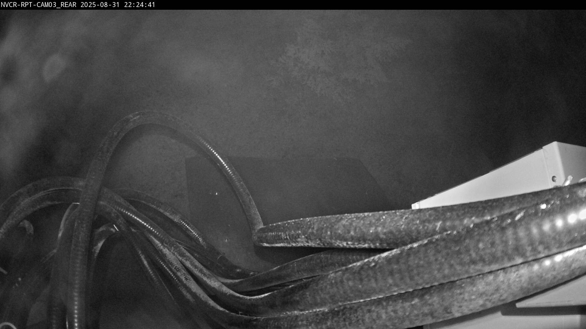 Web Cam History Image - 771