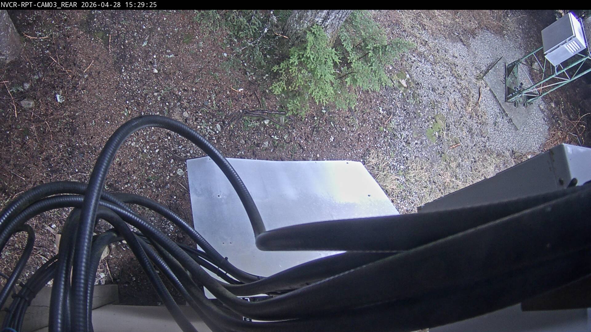 Web Cam History Image - 772