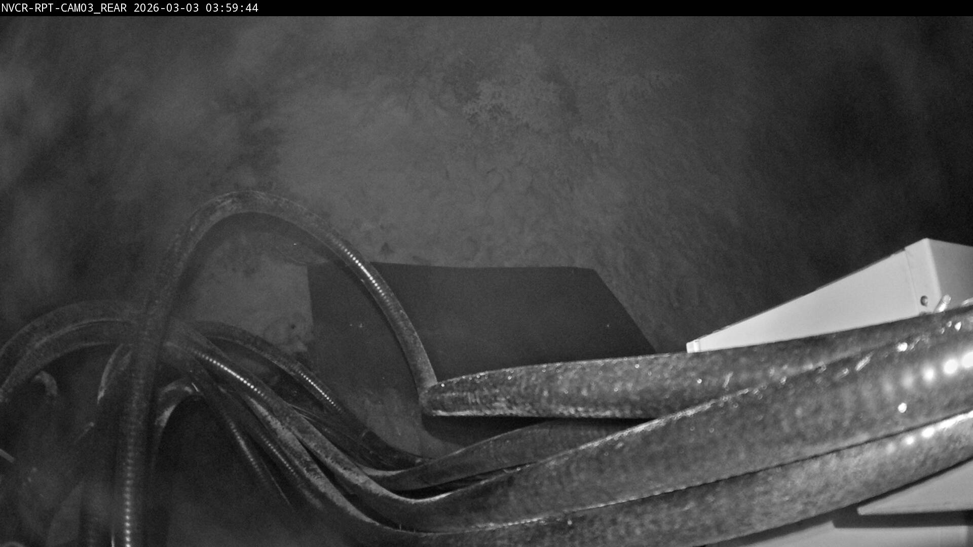 Web Cam History Image - 773