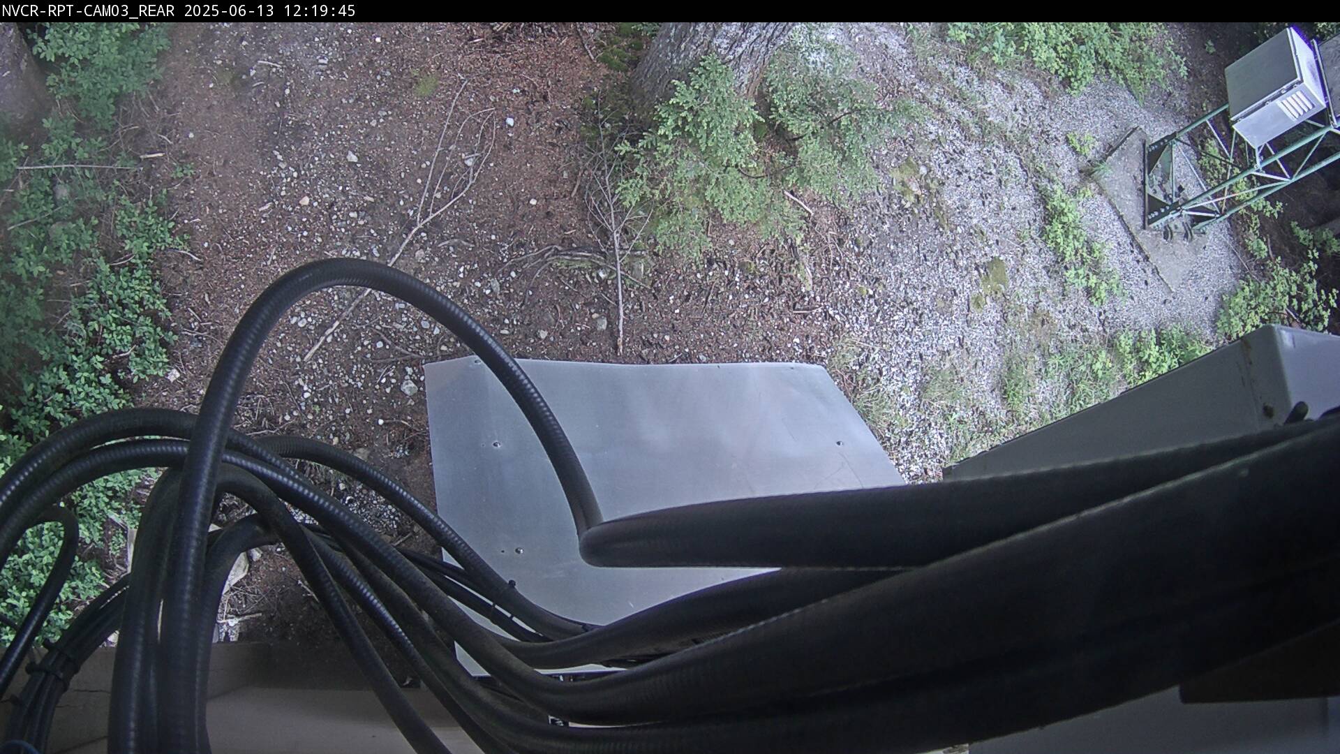 Web Cam History Image - 774