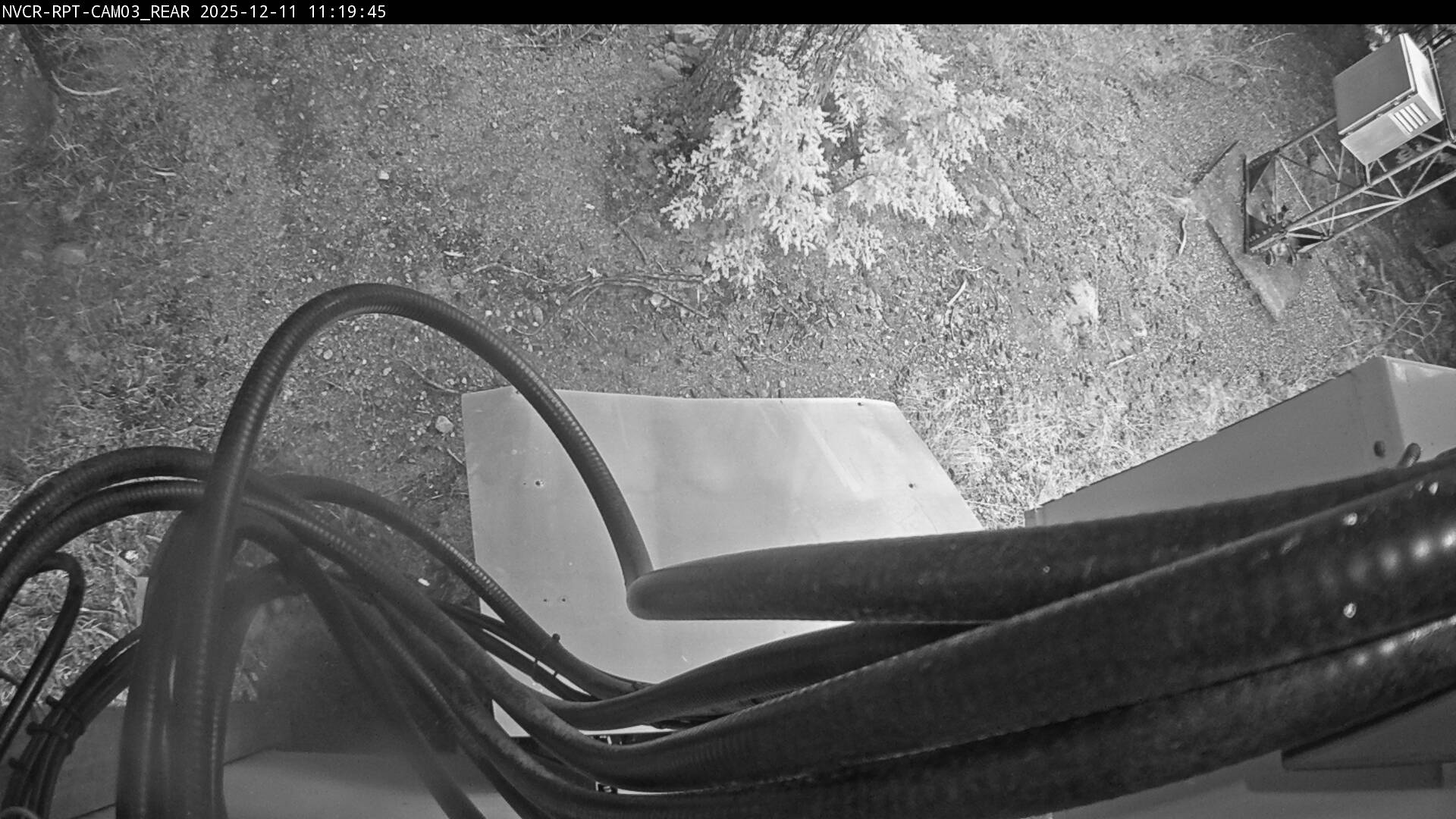 Web Cam History Image - 777