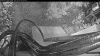 Web Cam Image - Mon, 08/24/2026 5:34am PDT