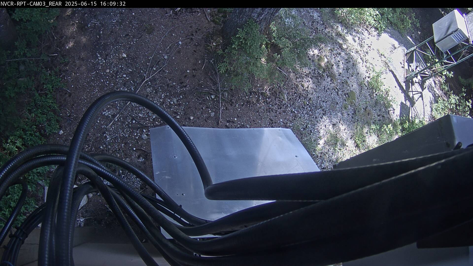 Web Cam History Image - 79