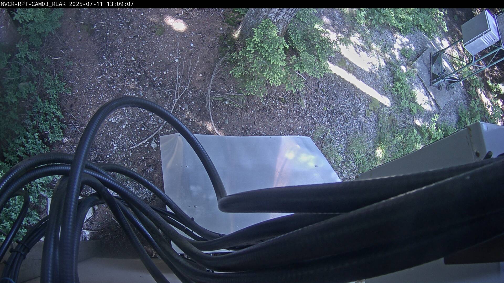 Web Cam History Image - 79