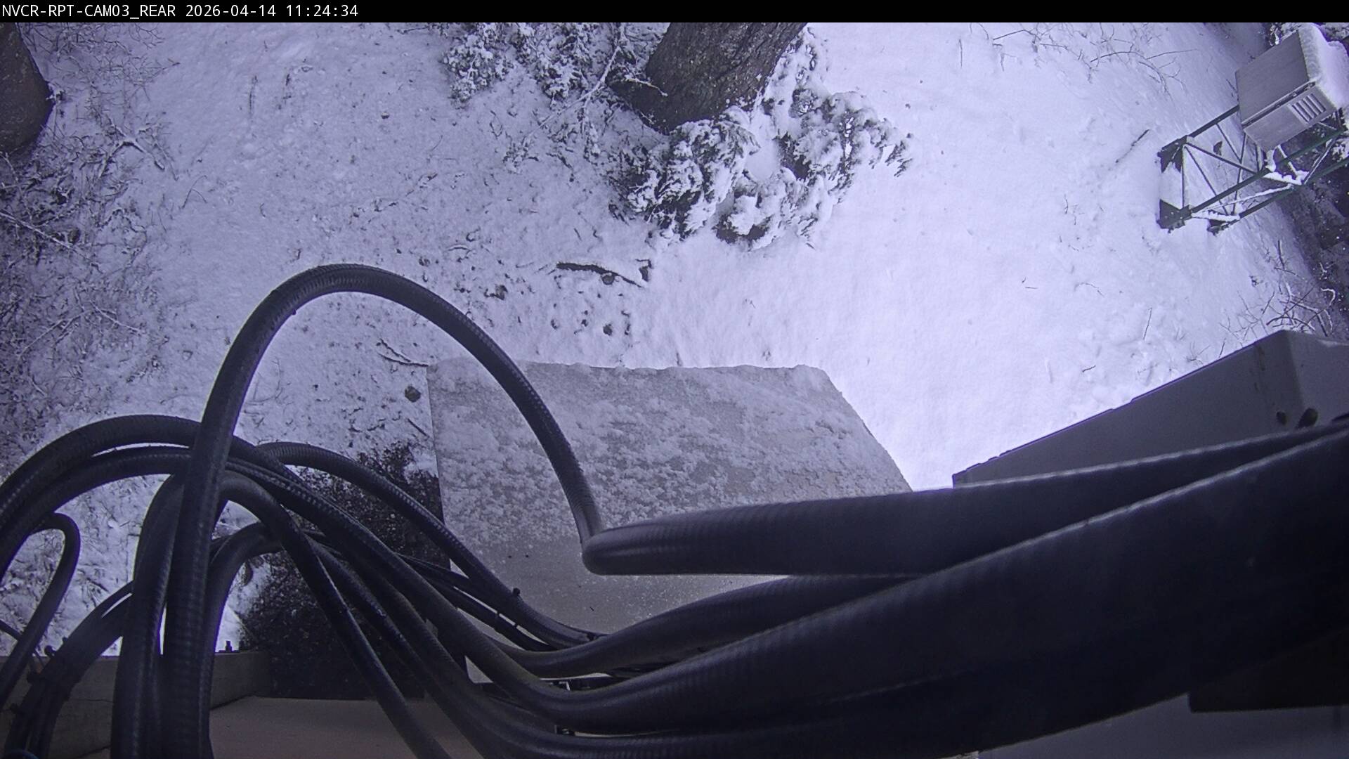 Web Cam History Image - 79