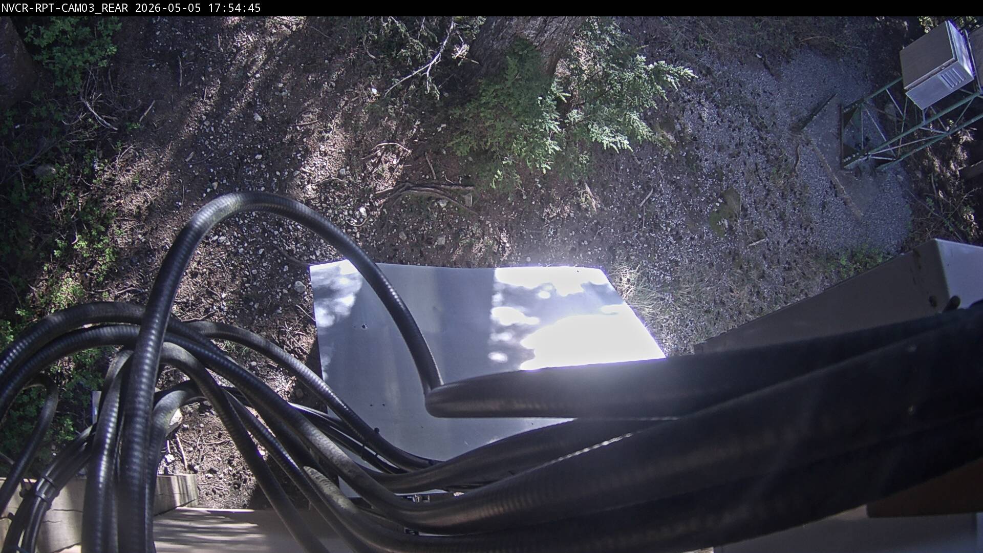 Web Cam History Image - 79