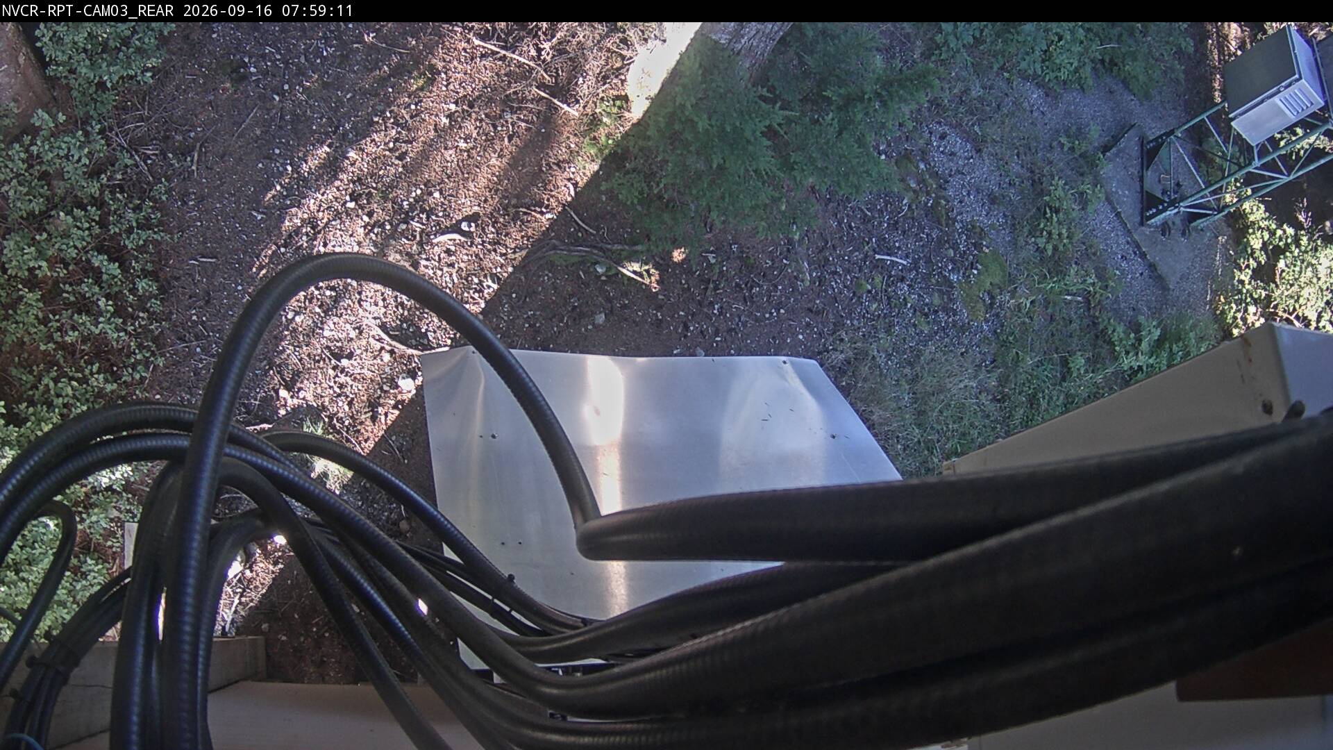 Web Cam History Image - 79