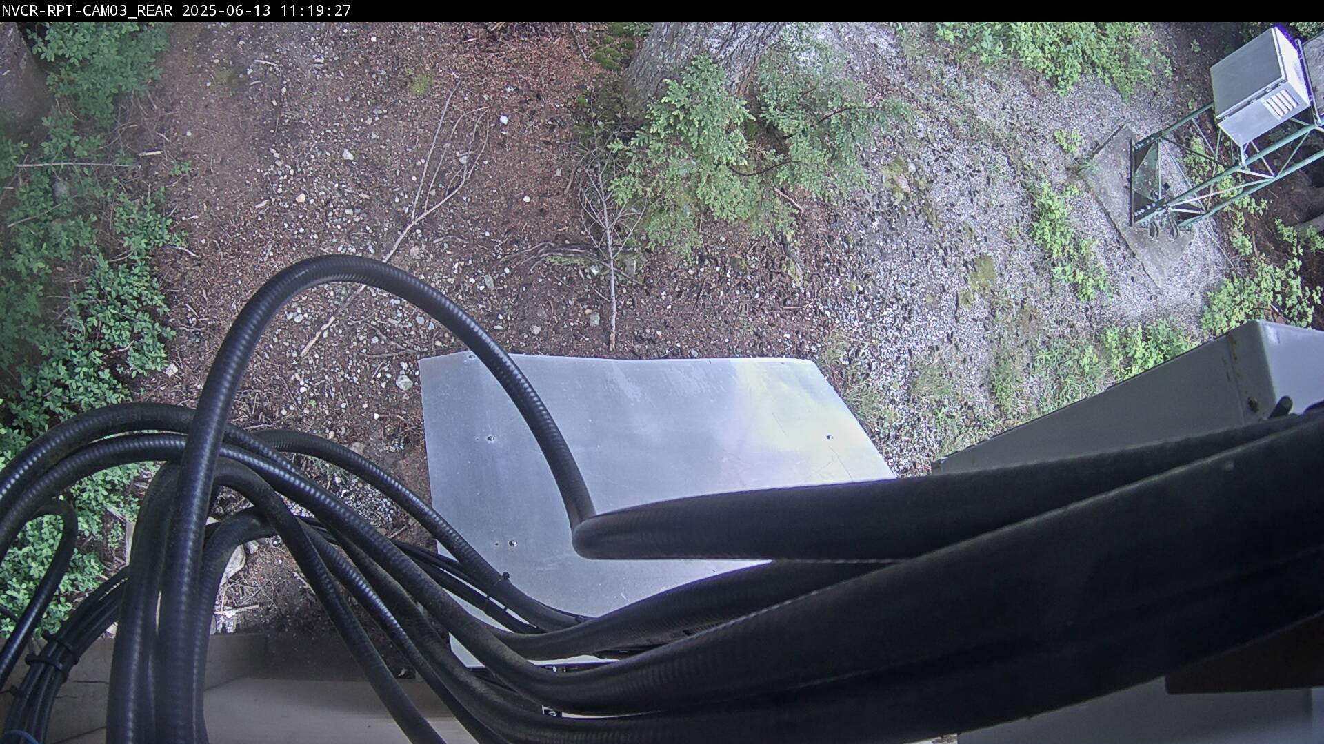 Web Cam History Image - 784