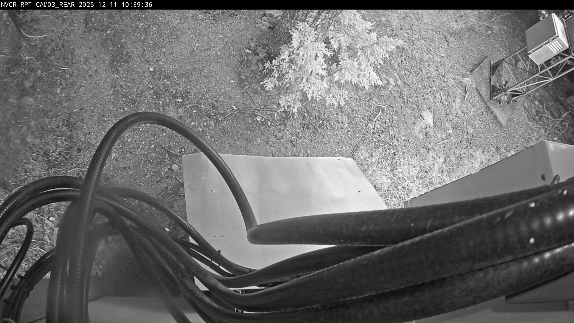 Web Cam History Image - 784