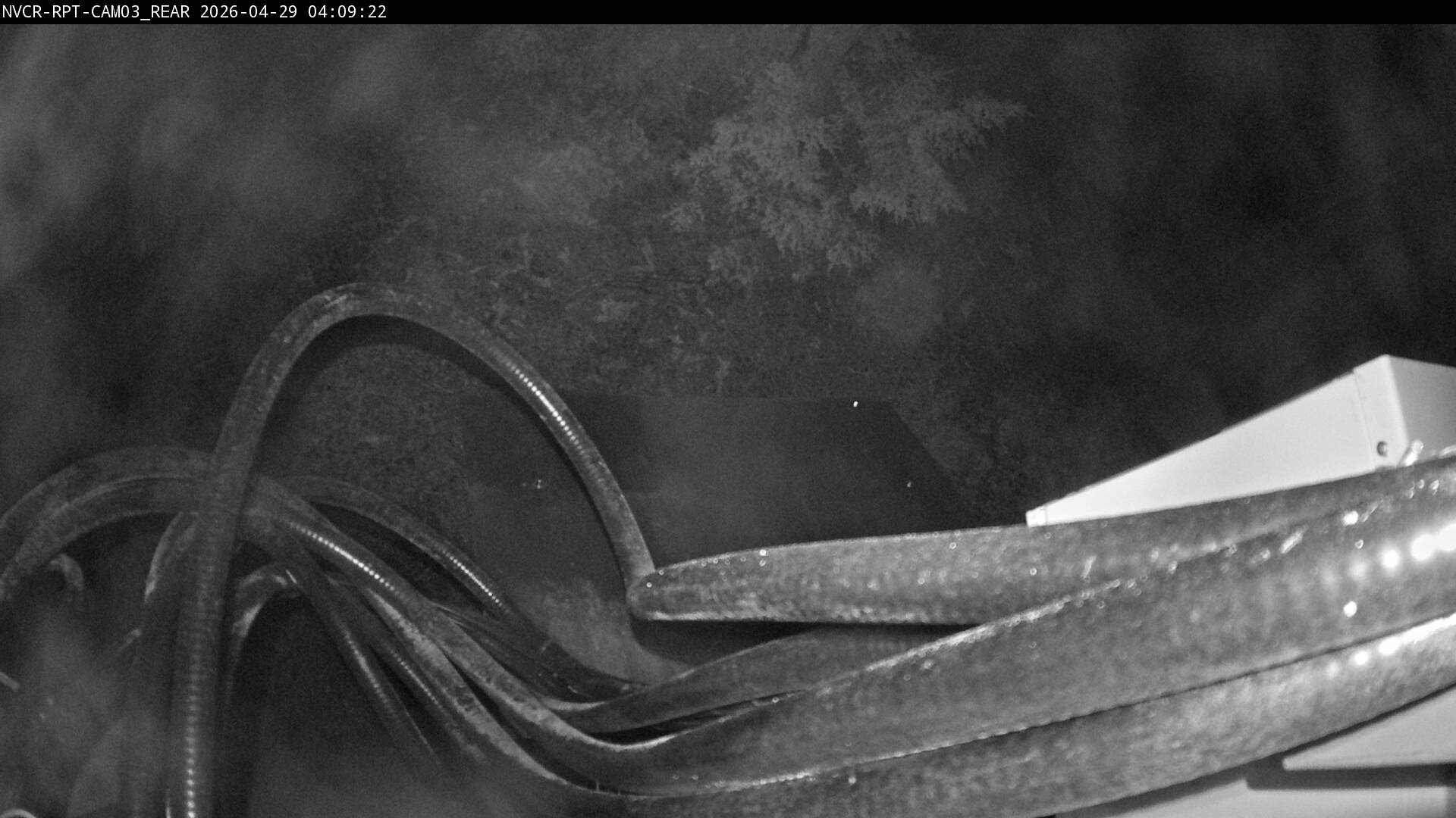 Web Cam History Image - 786