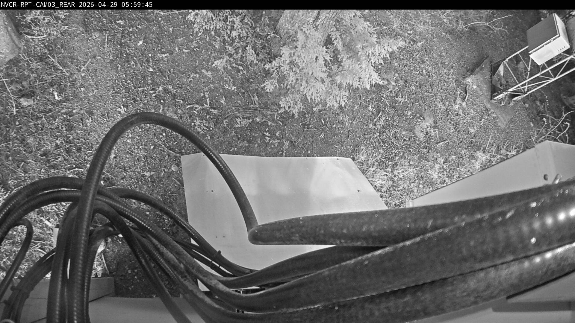 Web Cam History Image - 788